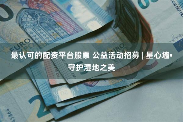 最认可的配资平台股票 公益活动招募 | 星心墙•守护湿地之美
