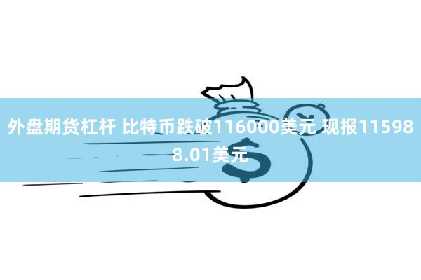 外盘期货杠杆 比特币跌破116000美元 现报115988.01美元