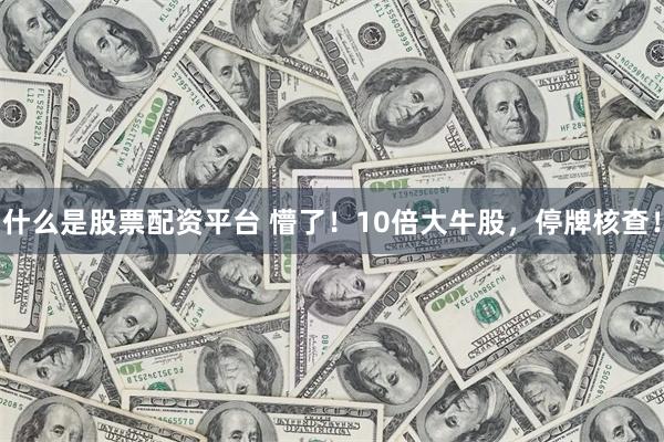 什么是股票配资平台 懵了！10倍大牛股，停牌核查！