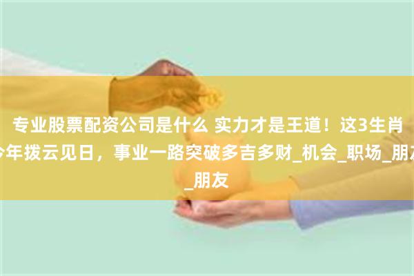 专业股票配资公司是什么 实力才是王道！这3生肖今年拨云见日，事业一路突破多吉多财_机会_职场_朋友