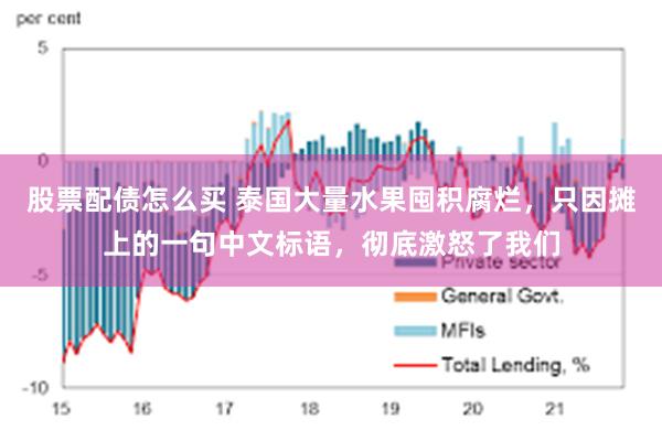 股票配债怎么买 泰国大量水果囤积腐烂，只因摊上的一句中文标语，彻底激怒了我们