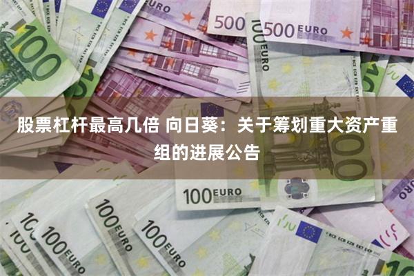 股票杠杆最高几倍 向日葵：关于筹划重大资产重组的进展公告