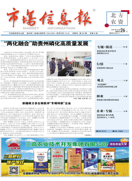 市場信息咨詢的價值與實踐路徑